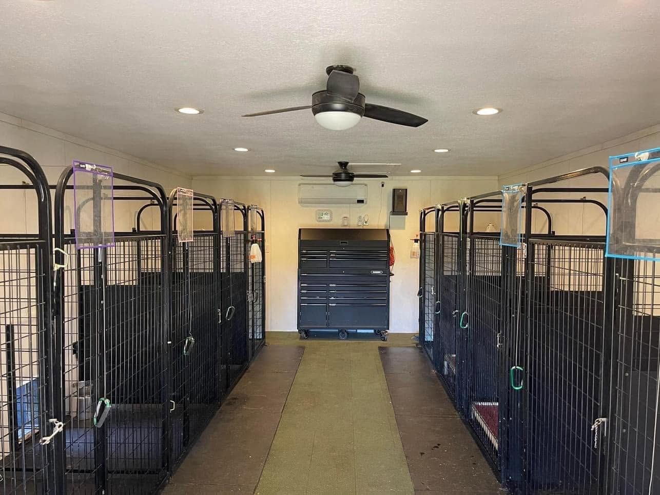 Outdoor dog facility